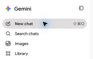The Gemini menu with New chat