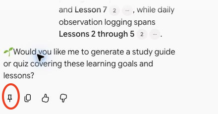An answer in the notebook chat, with the pin icon circled, followed by the copy and thumbs icons